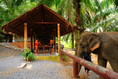 Khao Sok - Culture & Nature, Day Trip Khao Sok - Culture & Nature, Day Trip