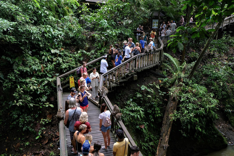 Ubud: Foresta delle scimmie, terrazzamenti di riso e tour delle cascate