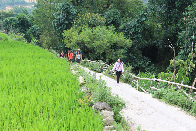 Hanoi to Sapa: Terraced Fields, Culture & Cuisine – 3 Days