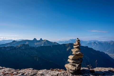 Von Montreux nach Rochers-de-Naye: Alpine Adventure TicketMontreux - Rochers-de-Naye Zahnradbahn Ticket