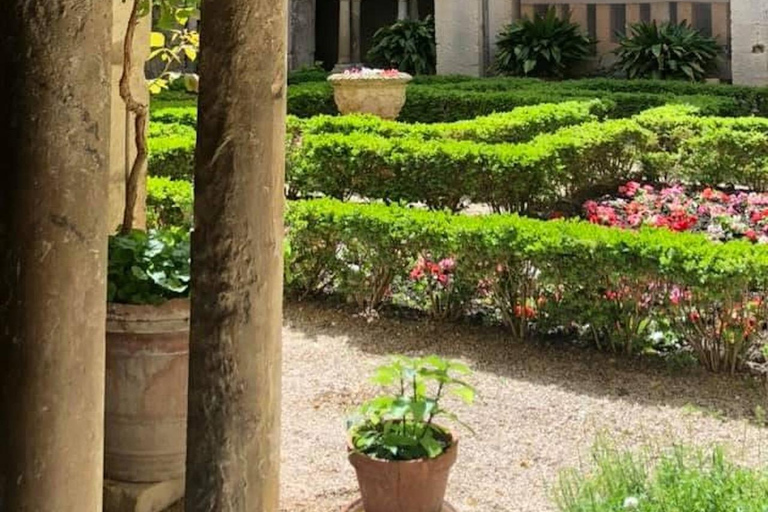 Private tour of the Alpilles: Saint-Rémy-de-Provence & Les Baux-de-Provence