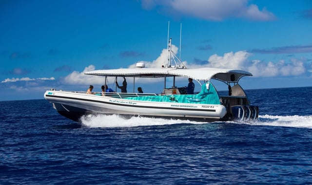 Delfinbeobachtung, Schnorcheln und BBQ in Kona, Big Island