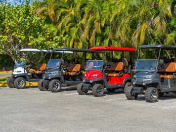 Alquiler de carritos de golf en Punta de Mita