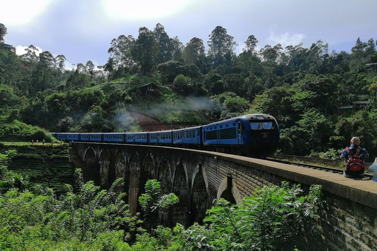 Colombo: Ella 2-Day Tour with Waterfalls & Tea Estate Tour Start in Colombo, Negombo, Kalutara , Bentota Area