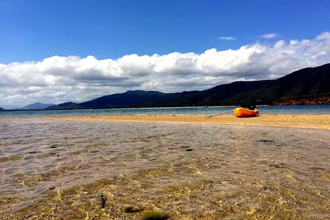 Palm Cove: Guided Half Day Turtle Kayak Tour