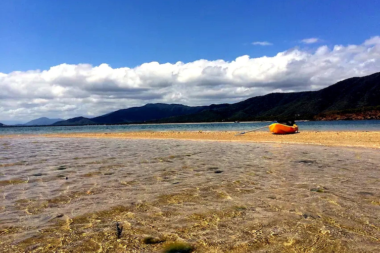 Palm Cove: Guided Half Day Turtle Kayak Tour