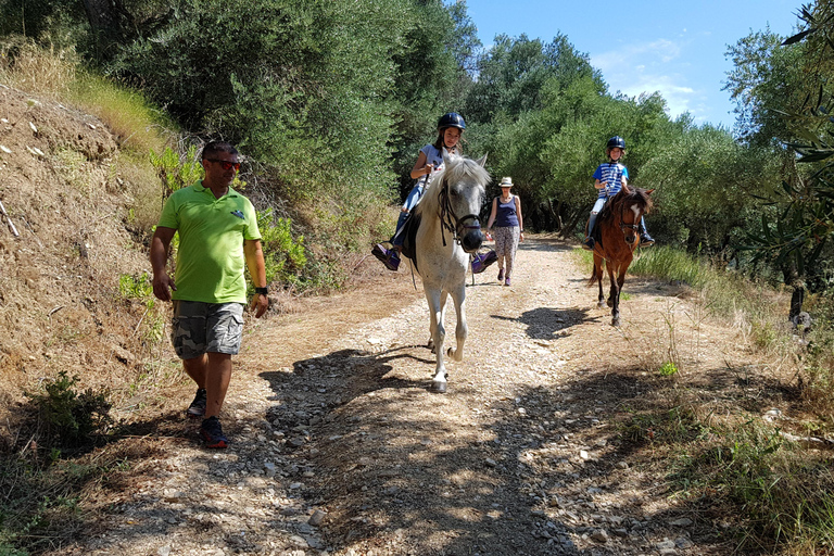 Corfu: Donkey Sanctuary and Farm Tour with Lunch Corfu: Donkey Sanctuary,Horse Riding,Farm Tour with Lunch