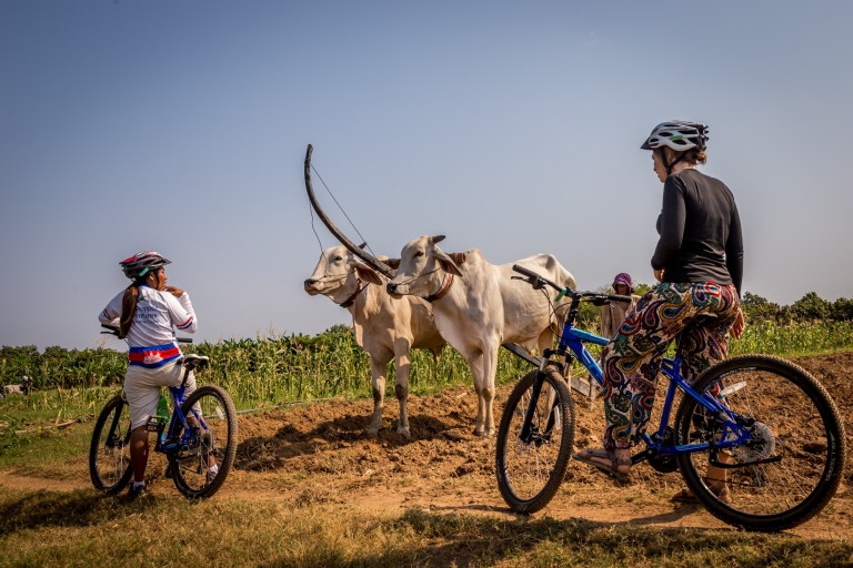 Mekong Inseln: Ländliche Halbtagestour mit dem FahrradStandard-Option