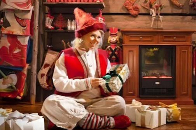 Rovaniemi: SantaPark All-Day Adventure with Lunch