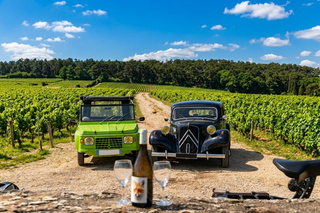 Burgundy: vintage car, gourmet lunch, and food tastings