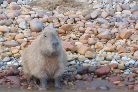 Puerto Maldonado: Tambopata Lago Sandoval 4-day expedition Puerto Maldonado: Tambopata Lago Sandoval 4-day expedition (best tour)