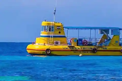 Roatan Glass bottom Boat + Island Tour