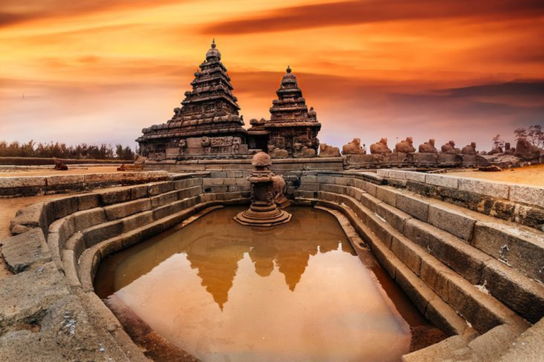 From Chennai: 12-Day Private Tour to Cochin with 3-Star Stay Chennai to Cochin 12 Days Private Tour with 3* Hotels
