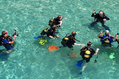 Excursión de buceo con traslado desde Alanya y la ciudad de Side