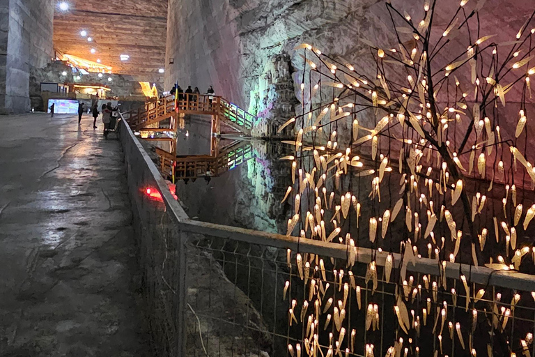 Bucharest: Salt Mine & Dracula's Tomb Small-group Minibus