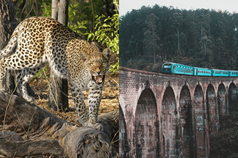 5 dias de viagem relâmpago pelo Sri Lanka, cobrindo 5 marcos de terra!