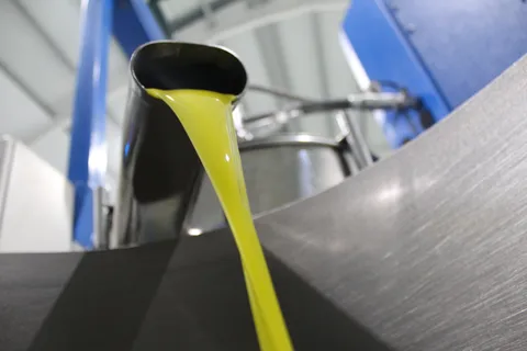 Tour guidato e degustazione di olio presso la fabbrica Aceites Molisur