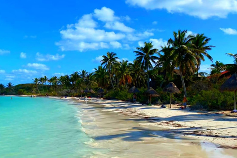 Cancun: Contoy Island & Isla Mujeres with snorkeling and lunch on the beach