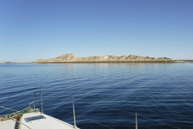 Dakhla: Catamaran Sailing Adventure with Island Visit