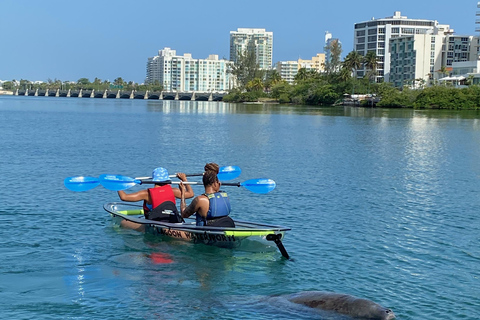 Clear Kayak Eco Tour - San Juan