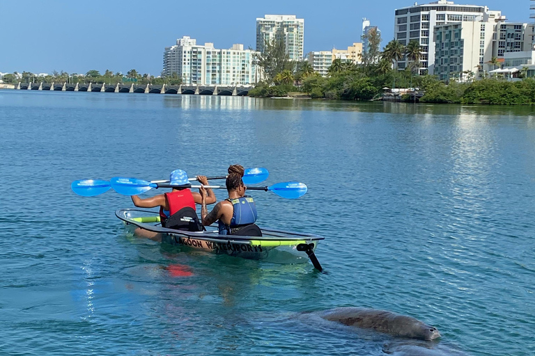 Clear Kayak Eco Tour - San Juan