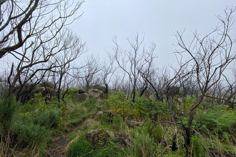 Haz senderismo por los encantadores Siete Estanques de los AberdaresRecogida en Naivasha