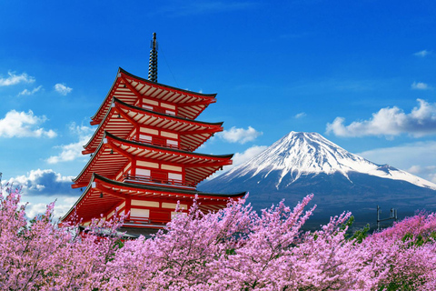 Tokyo: Mt Fuji Customizable Tour with Lakes & Pagoda