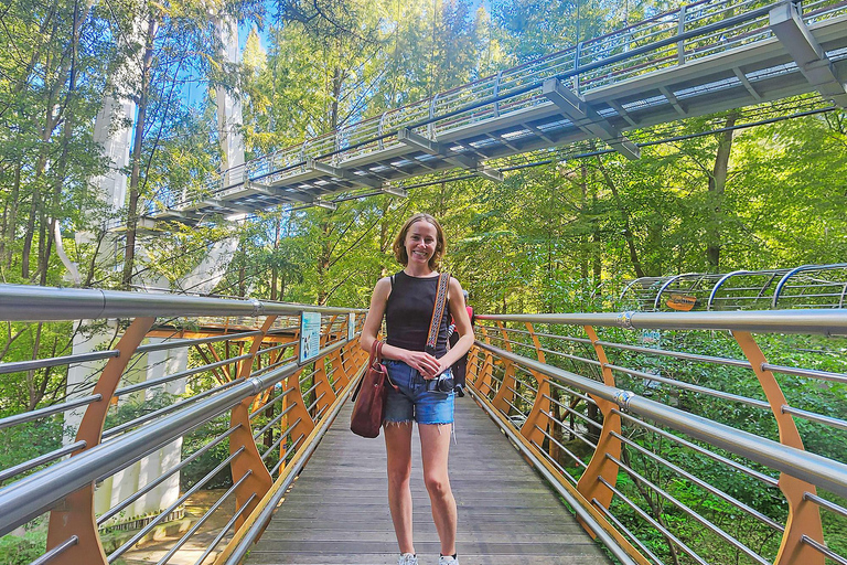 Seoul: Jangtaesan, Starfield Library, & Suwon Day Trip