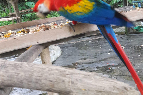 4 Amazonerivieren en tours van een hele dag