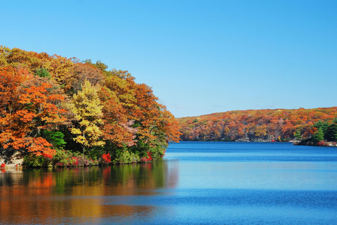 Circle Line NYC: Fall Foliage and Oktoberfest Cruise