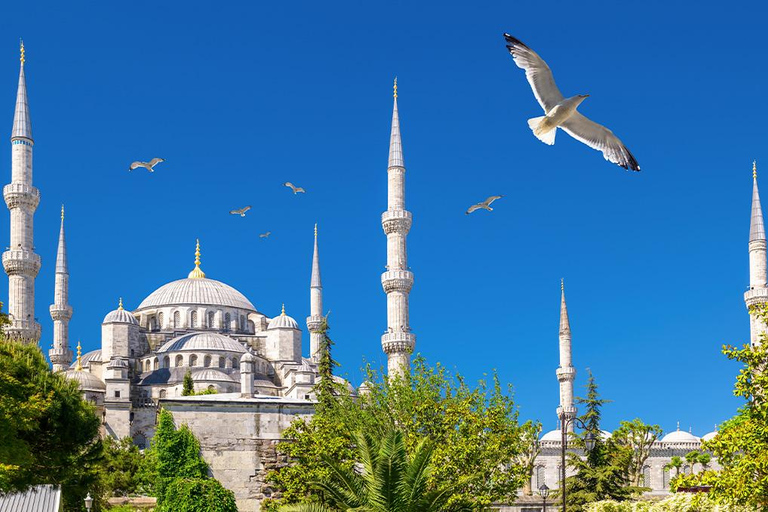 Biglietti e audio per la Cisterna Basilica, Santa Sofia e la Moschea Blu