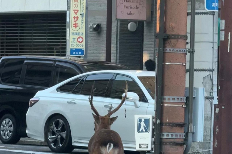 Nara: Naramachi Street Food and Sake Tour