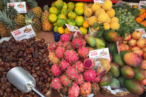 Baladerna Découverte La Laguna &amp; Anaga