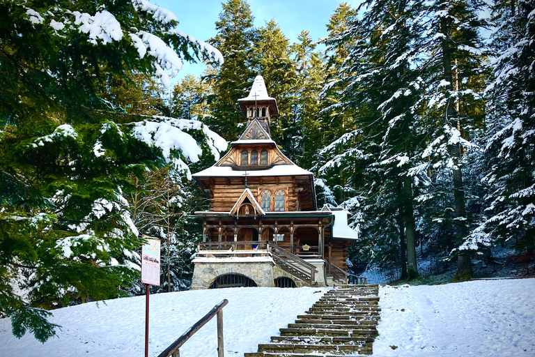 Desde Cracovia: Eslovaquia Treetop Walk y Zakopane TourDesde Cracovia: Eslovaquia Treetop Walk y Zakopane Tour privado