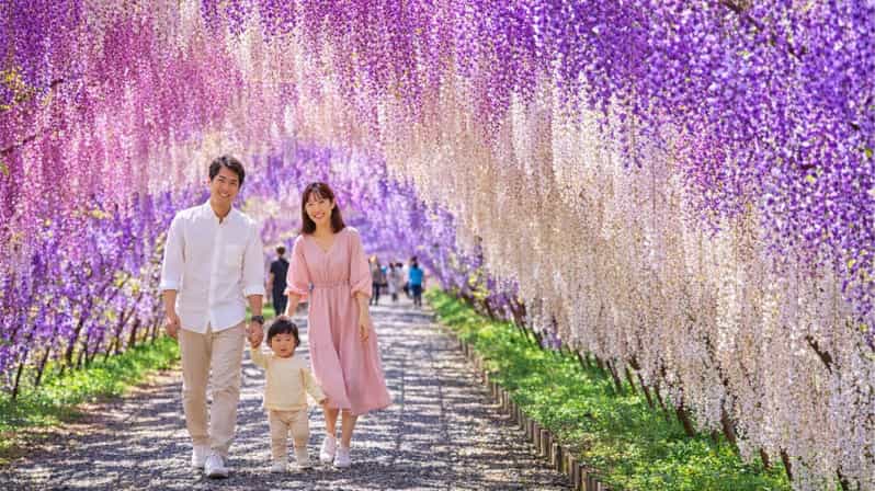 Fukuoka: Kawachi Fuji Garden & Kokura Castle Guided Tour