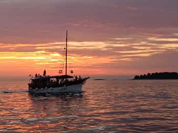 Rovigno: picnic di pesce con tramonto e osservazione dei delfini