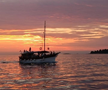 Rovinj: Fish picnic with sunset and dolphin watching