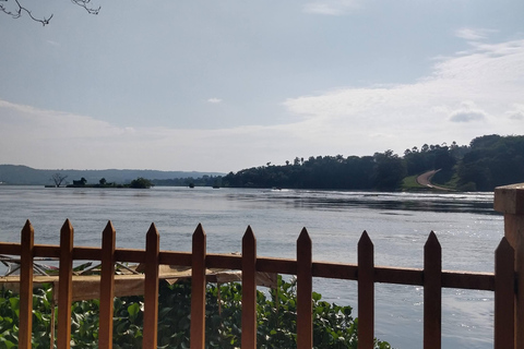 1 Día de rafting en aguas bravas en Jinja (Uganda)