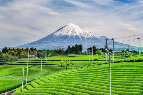 Tokyo: Mount Fuji Must See Private Tour Adjustable Itinerary