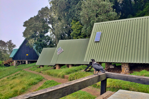 Randonnée d&#039;une journée sur le mont Kilimandjaro à travers la porte de Maranguprix de groupe