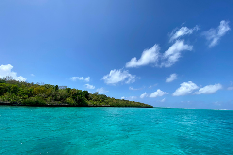 Excursion à l'Ile aux Cerfs et autres joyaux du Sud.