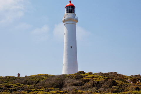 Melbourne : Circuit d&#039;une journée sur la Great Ocean Road avec les lieux emblématiques