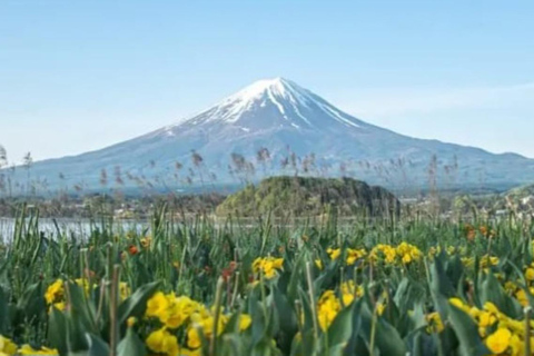 Tokyo: Mount Fuji and Hakone Hidden Gems Tour