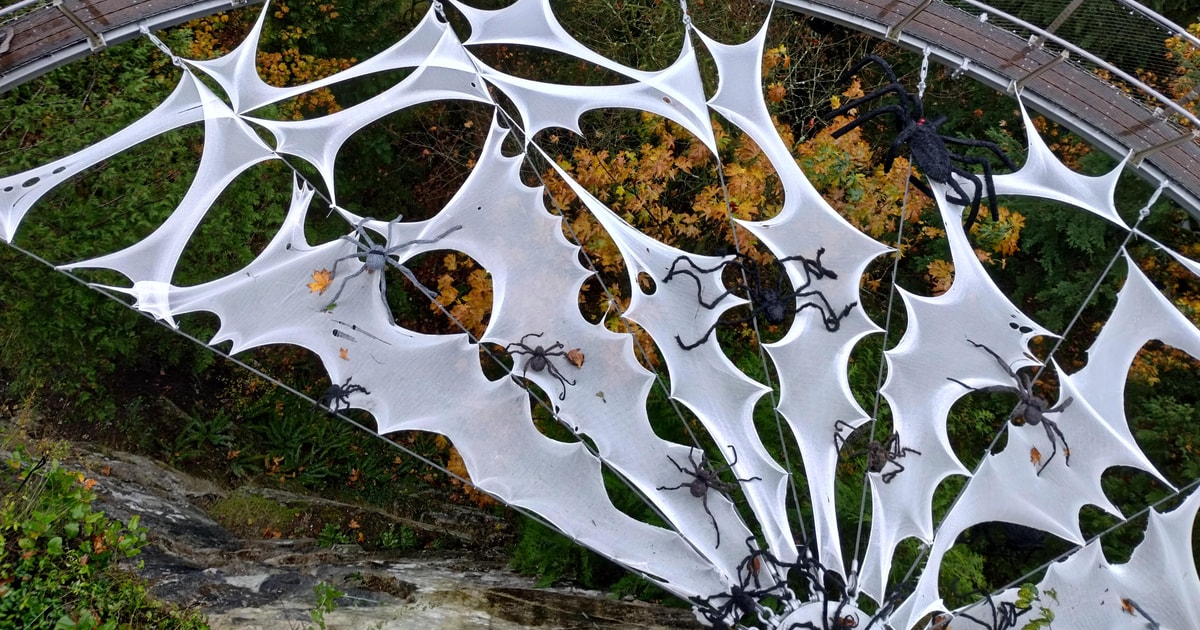 4Tour/CAR/Small GROUP/Capilano Suspension Br+Lake+Dam+Hacher GetYourGuide