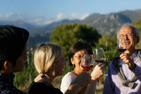 Nice : Visite des vignobles avec dégustation de vinOption avec transport