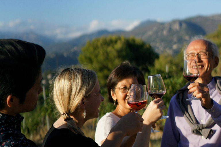 Nice : Visite des vignobles avec dégustation de vinOption avec transport