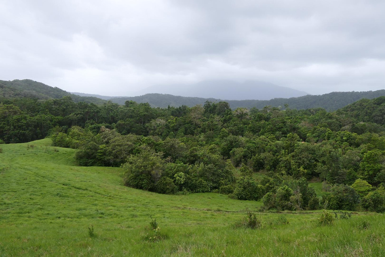 Daintree waters tour, all terrain vehicles and light lunch.
