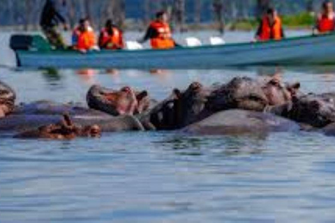 Lake Nakuru National Park Day Trip From Nairobi Lake Nakuru National Park From Nairobi