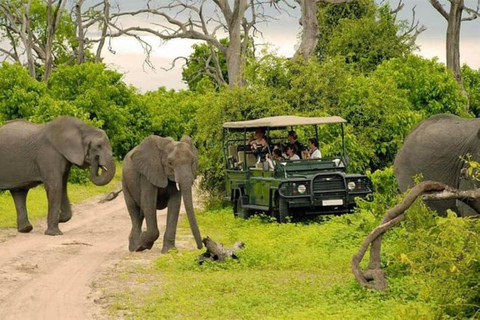 Escursione di una giornata intera nel Chobe