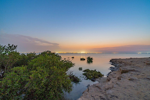 Doha : Visite privée du nord du Qatar, mangroves et fort de Zubara